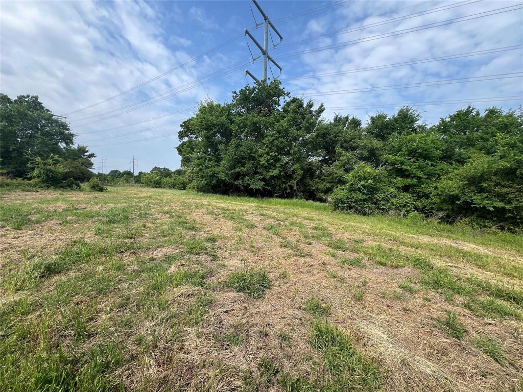 Tract # 1 County Road 123, Iola, Texas image 2