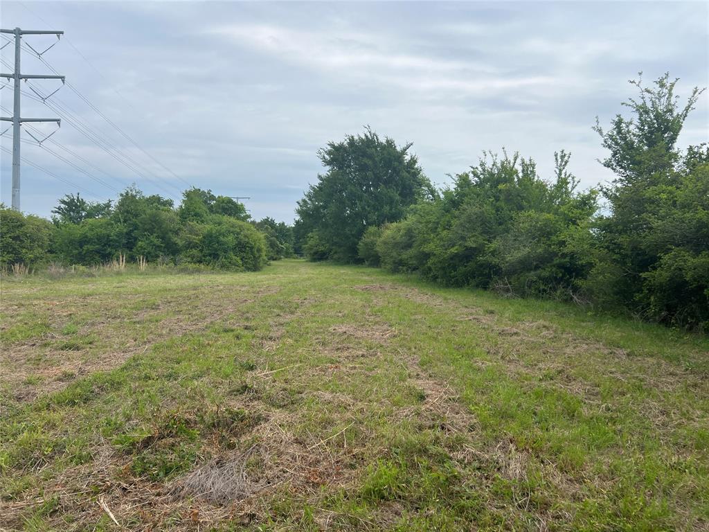 Tract # 1 County Road 123, Iola, Texas image 7