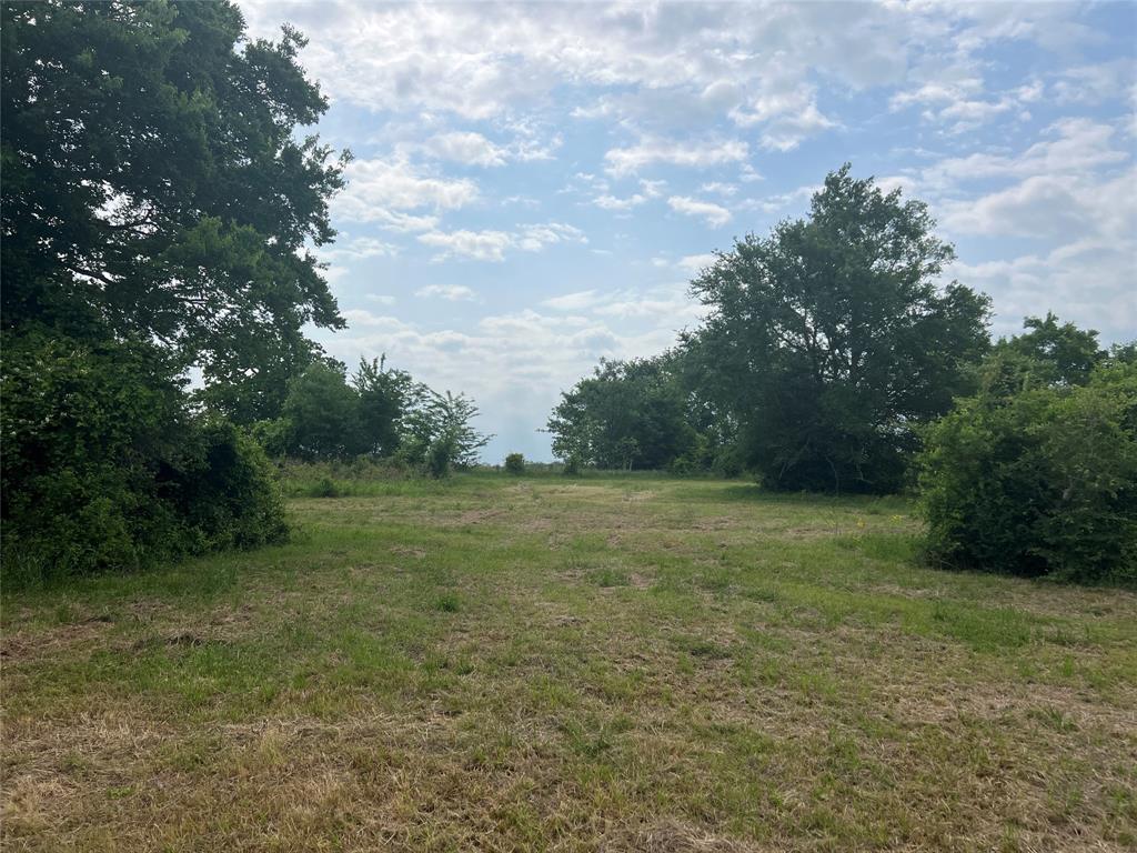 Tract # 1 County Road 123, Iola, Texas image 5