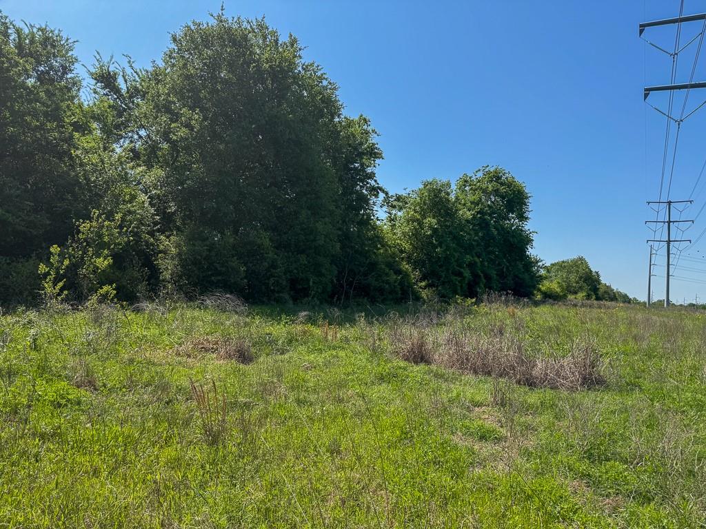 Tract # 1 County Road 123, Iola, Texas image 17