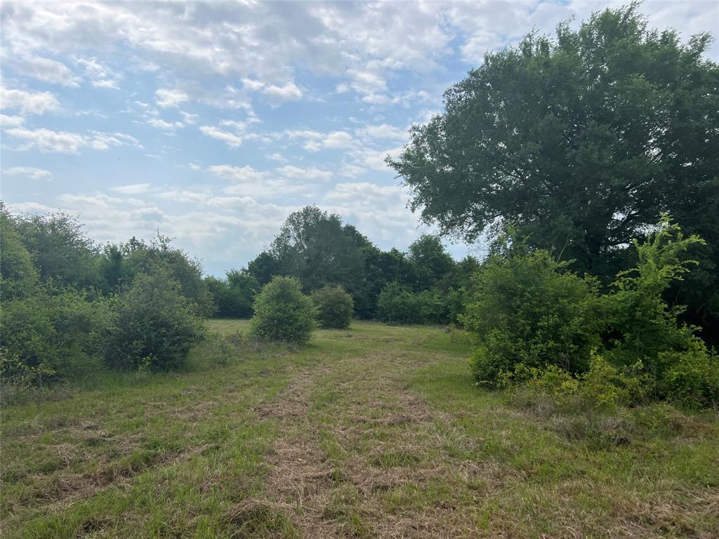 Tract # 1 County Road 123, Iola, Texas image 6