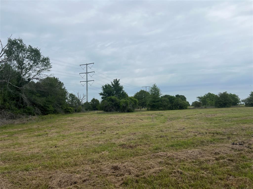 Tract # 1 County Road 123, Iola, Texas image 4