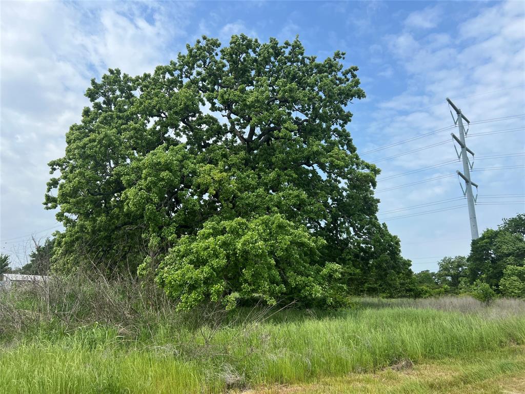 Tract # 1 County Road 123, Iola, Texas image 9