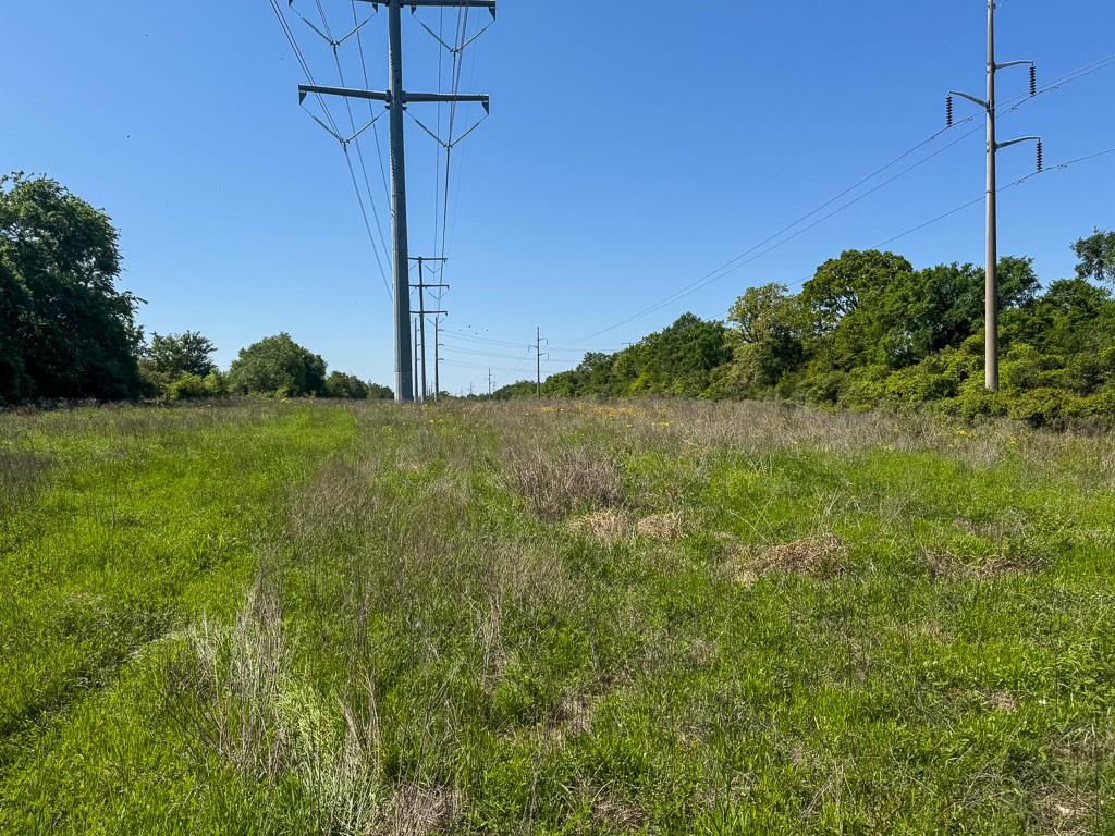 Tract # 1 County Road 123, Iola, Texas image 19