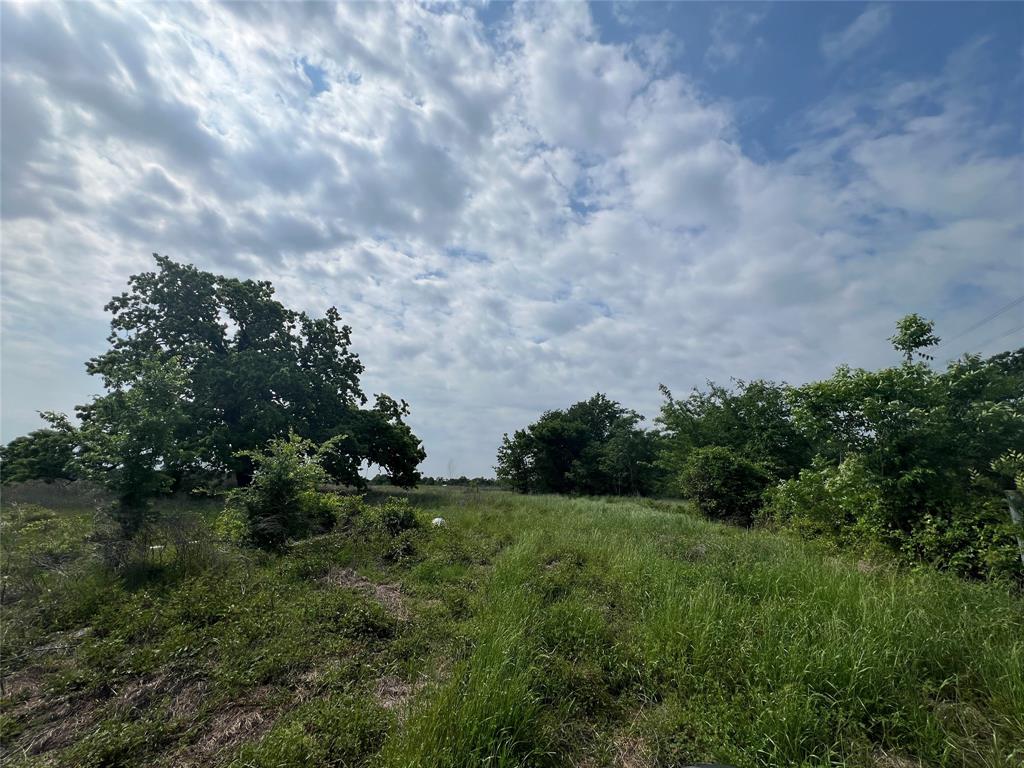 Tract # 1 County Road 123, Iola, Texas image 10
