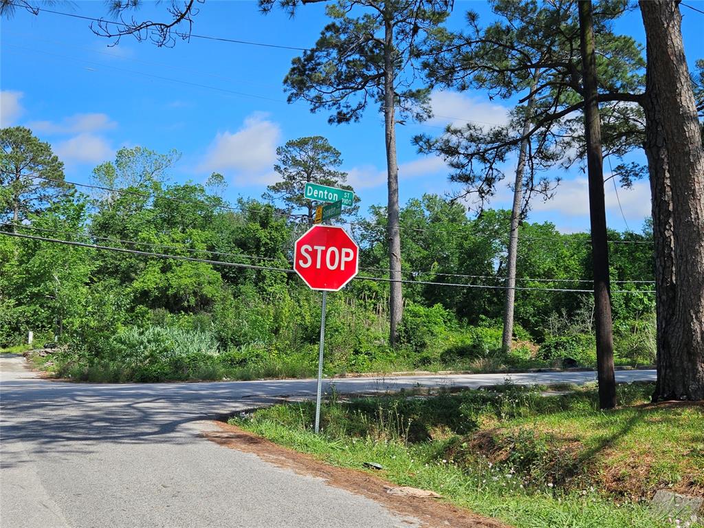 Snowden Street, Houston, Texas image 1