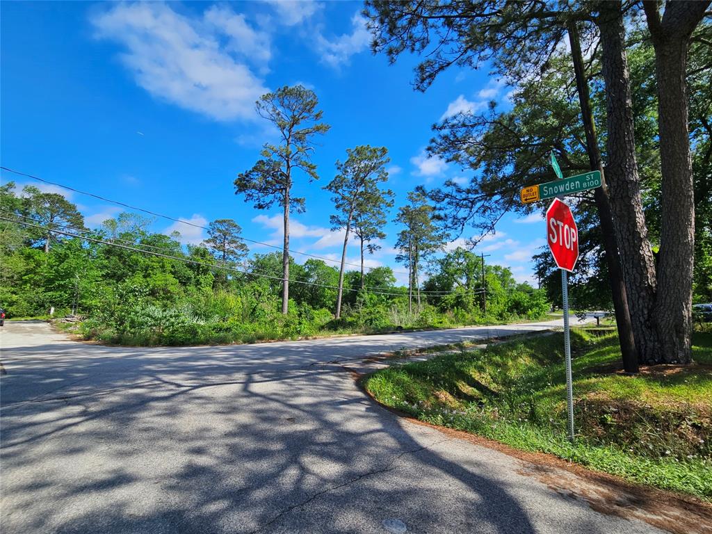 Snowden Street, Houston, Texas image 3