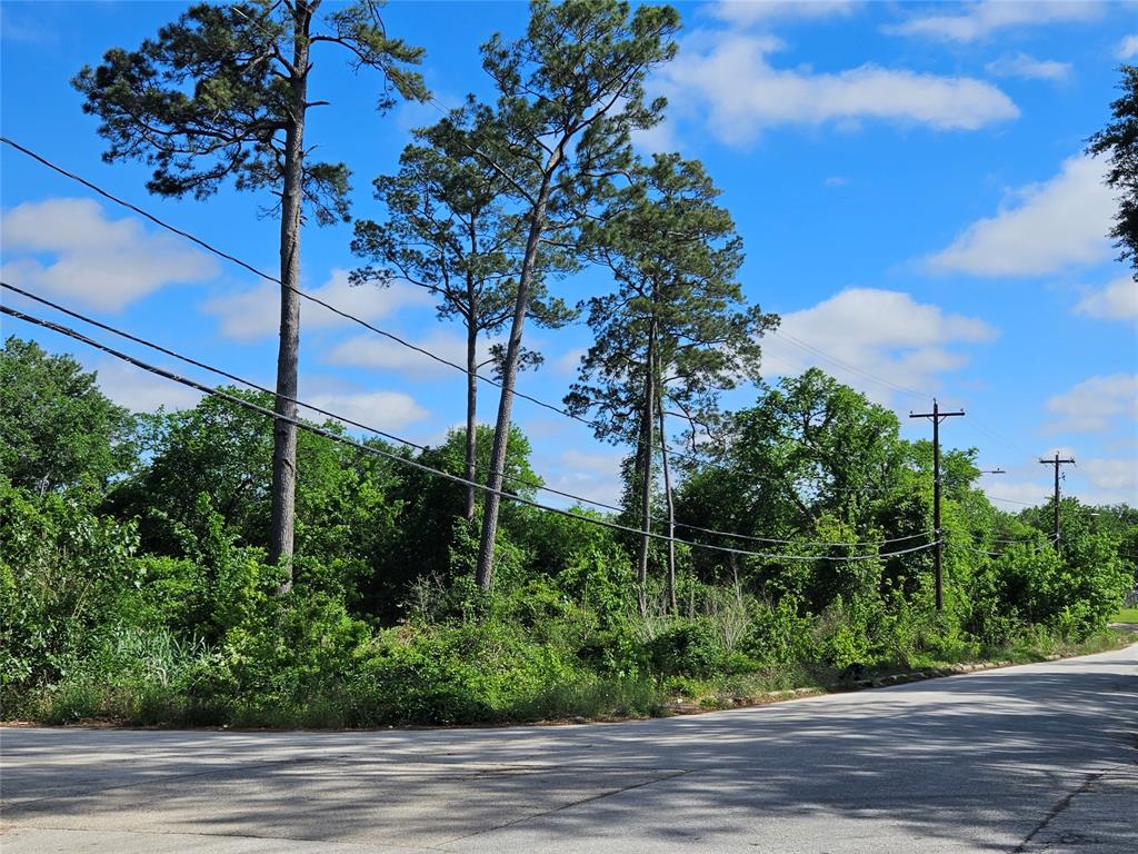 Snowden Street, Houston, Texas image 2