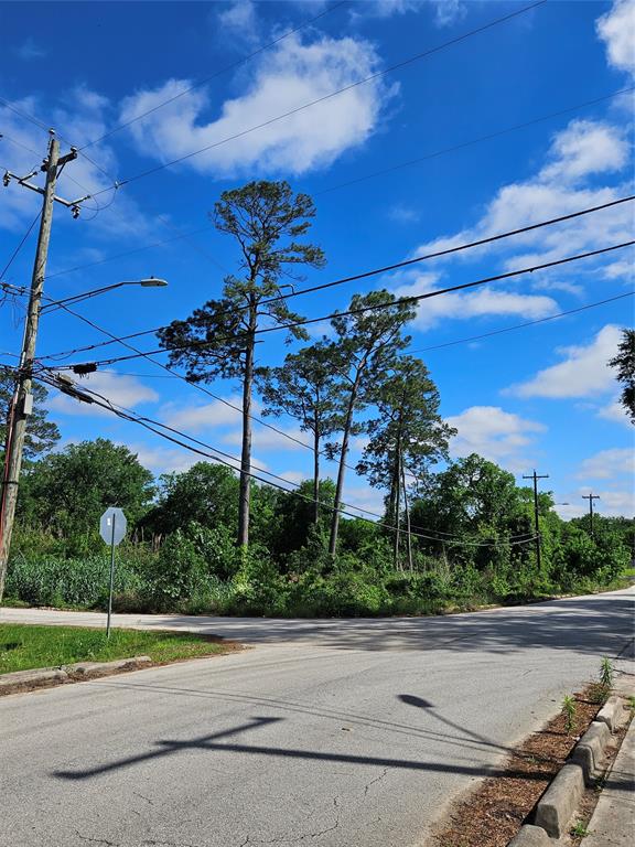 Snowden Street, Houston, Texas image 6