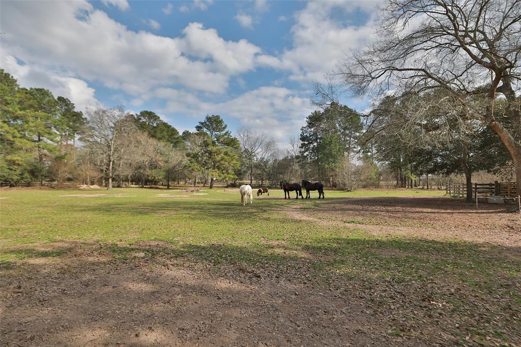 36003 Post Oak Circle, Magnolia, Texas image 37