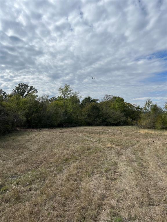 63 Hadley Creek Bend, Huntsville, Texas image 41