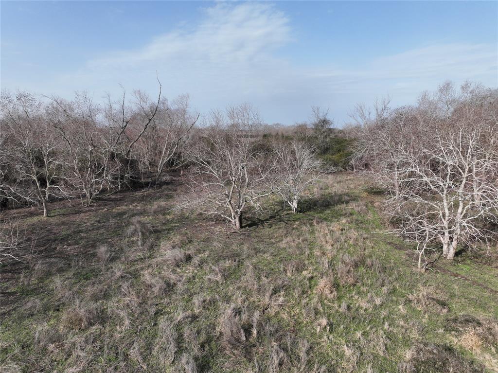 000 Schindler Road, Alleyton, Texas image 34