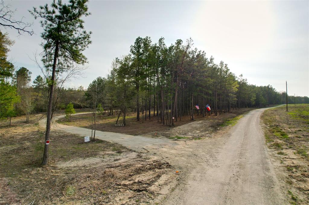 450 Williamson Way, Lovelady, Texas image 3