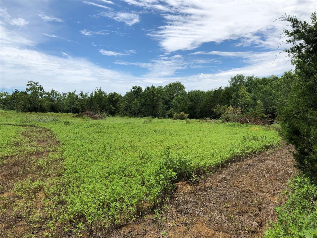 001 Steele Road, Highlands, Texas image 26