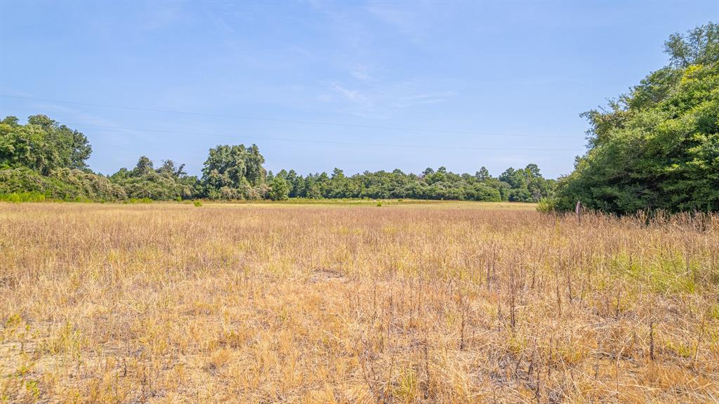 TBD County Road 228, Centerville, Texas image 12