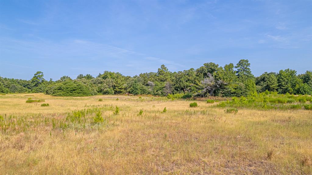 TBD County Road 228, Centerville, Texas image 14