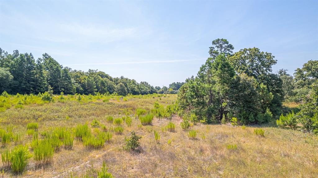 TBD County Road 228, Centerville, Texas image 10