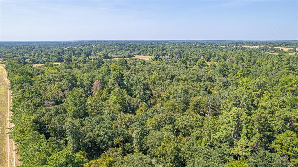 TBD County Road 228, Centerville, Texas image 9