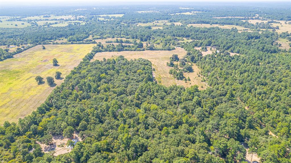 TBD County Road 228, Centerville, Texas image 8