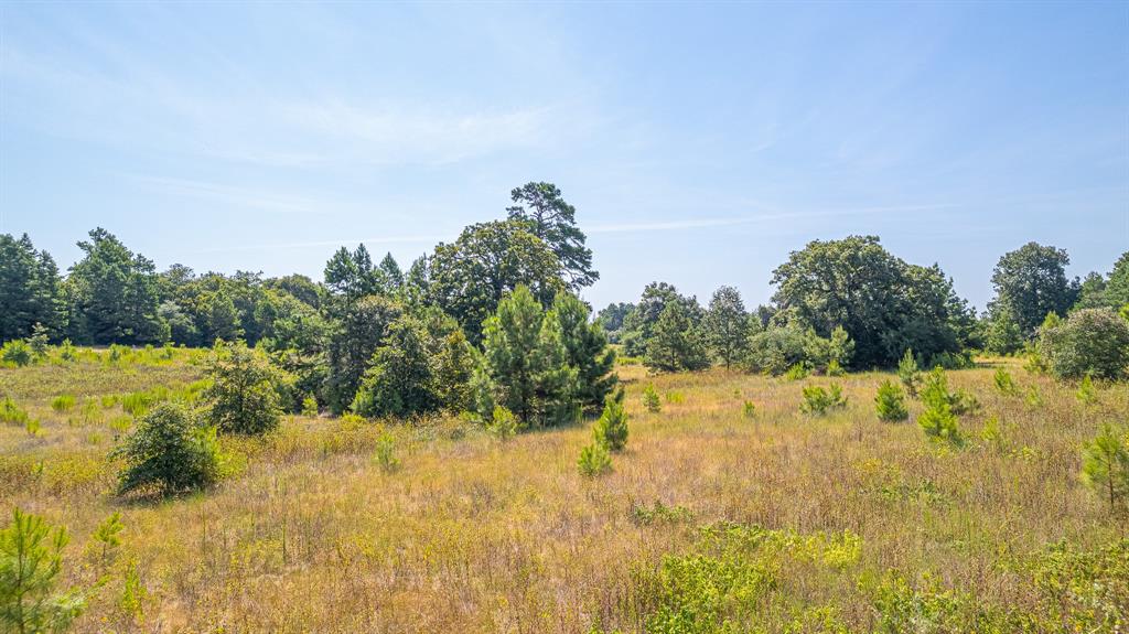 TBD County Road 228, Centerville, Texas image 11