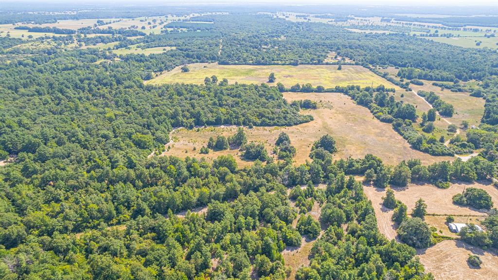 TBD County Road 228, Centerville, Texas image 6