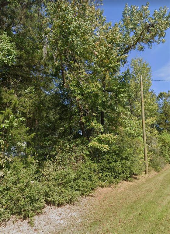 352 N Cattle Drive, Onalaska, Texas image 1