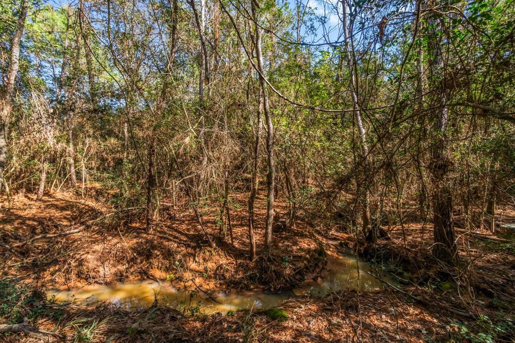 22310 Glenmont Estates Blvd Blvd, Magnolia, Texas image 8