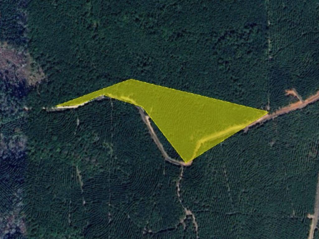 County Rd 406, San Augustine, Texas image 1