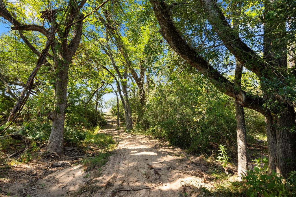 TBD (TR 2 & 3) Joshua Tree Lane, Columbus, Texas image 7