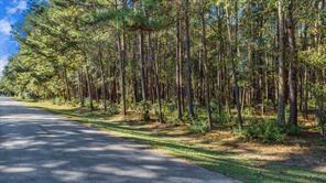 TBD Wild Oak Drive, Huffman, Texas image 2