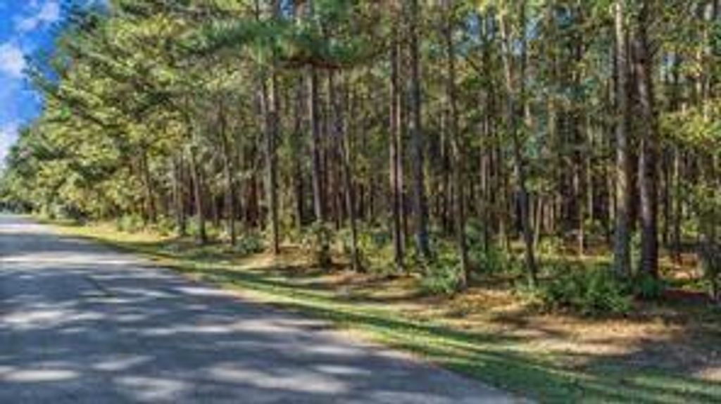 Photo of TBD Wild Oak Drive, Huffman, TX 77336 (MLS # 20788930)