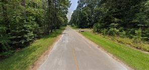 TBD Wild Oak Drive, Huffman, Texas image 1
