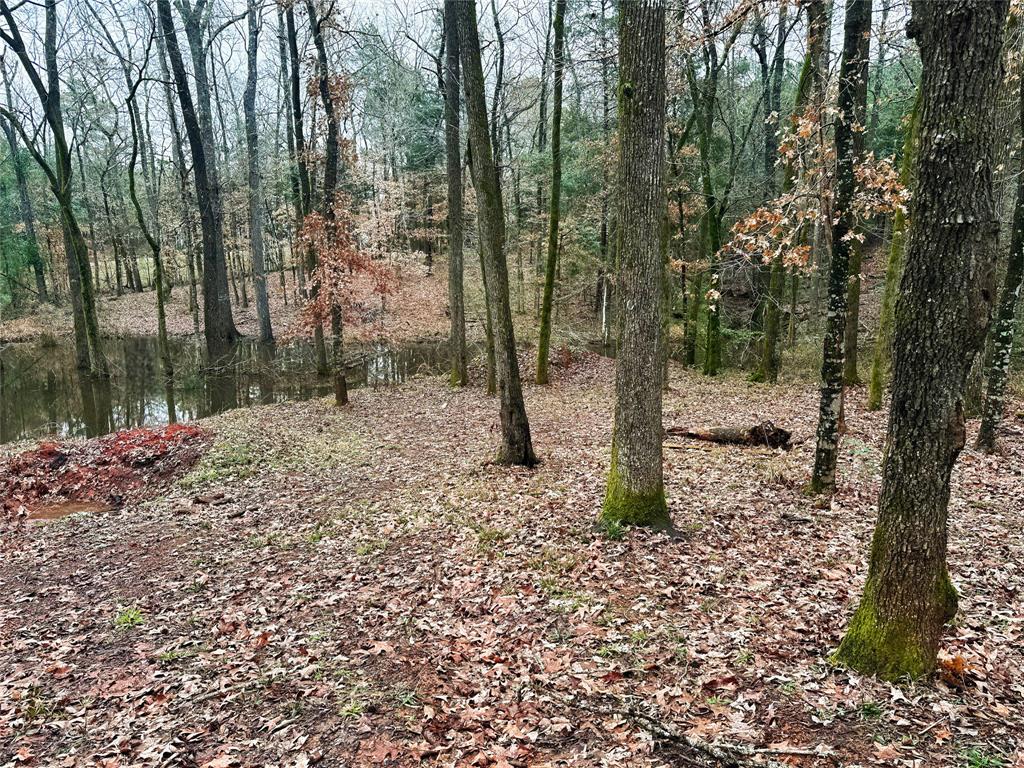 163 County Road 1112, Rusk, Texas image 33