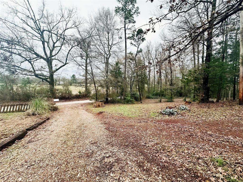 163 County Road 1112, Rusk, Texas image 40