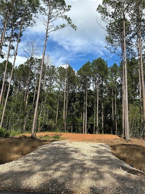 11356 Annie Creek Drive Willis TX 77378