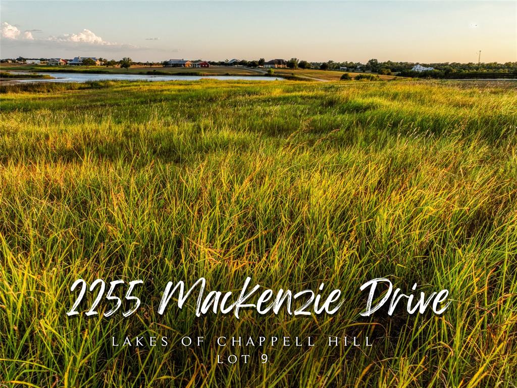 View Chappell Hill, TX 77426 land
