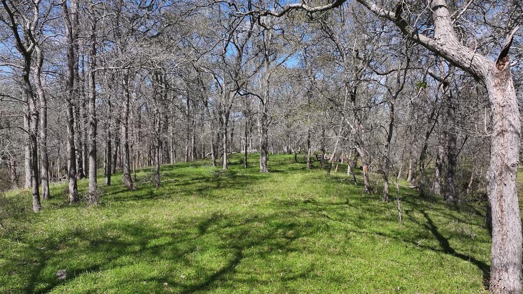 40499 Garrett Road, Brookshire, Texas image 23
