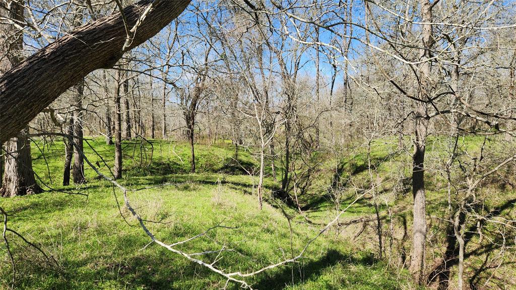 40499 Garrett Road, Brookshire, Texas image 6