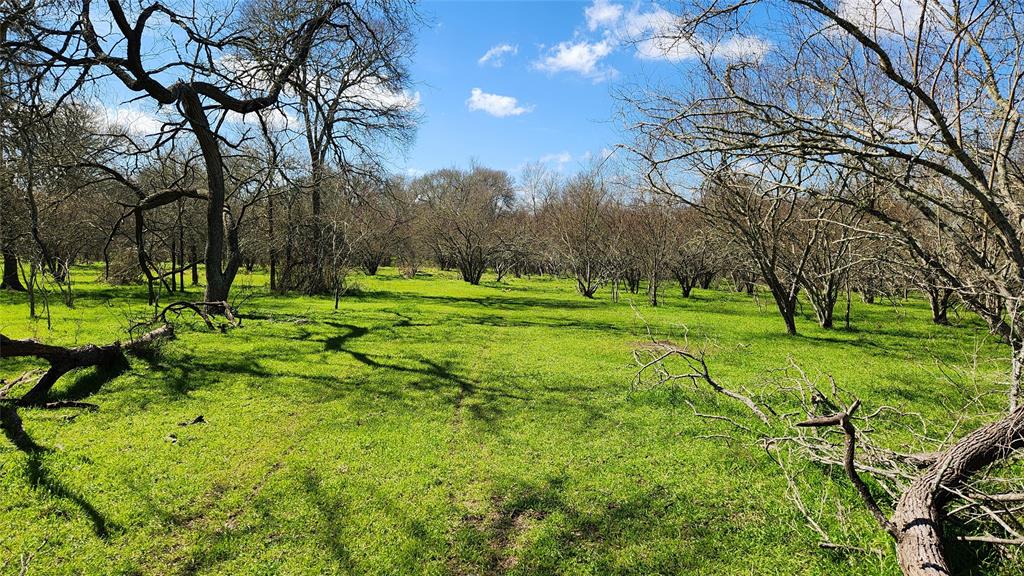 40499 Garrett Road, Brookshire, Texas image 1