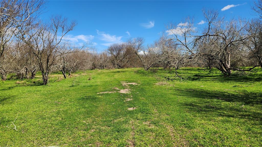 40499 Garrett Road, Brookshire, Texas image 5