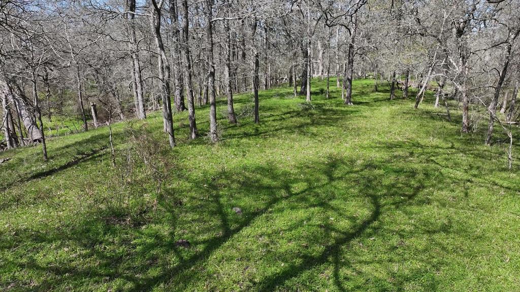 40499 Garrett Road, Brookshire, Texas image 27