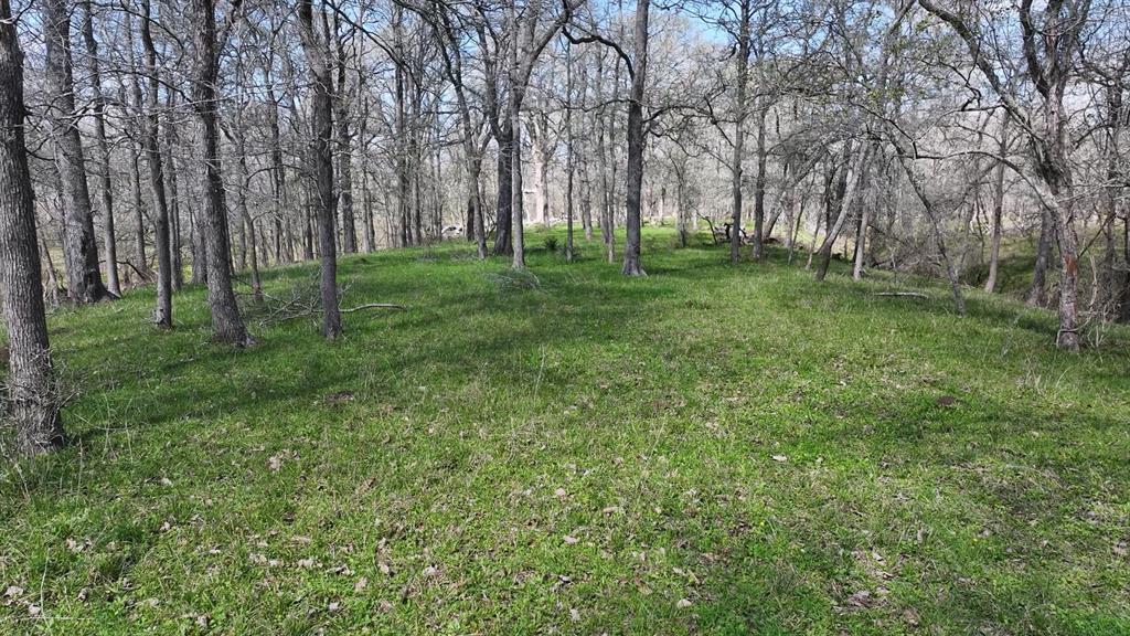40499 Garrett Road, Brookshire, Texas image 28