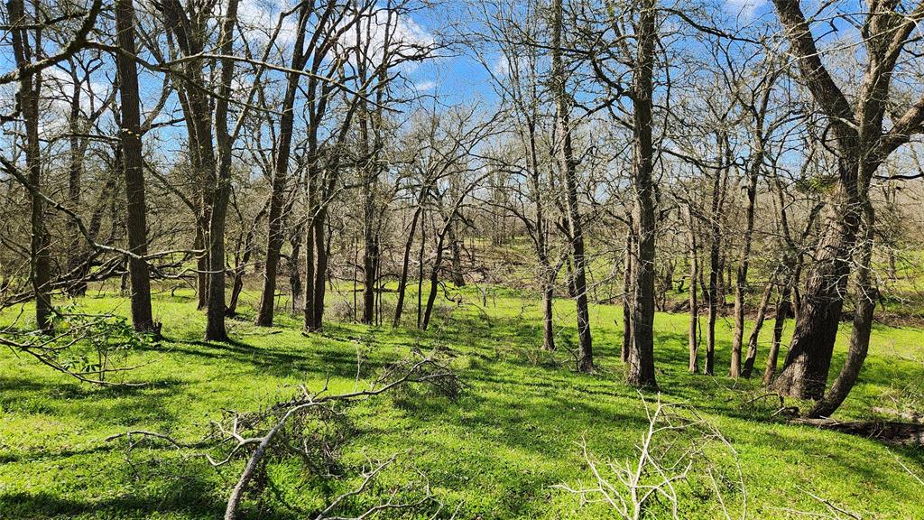 40499 Garrett Road, Brookshire, Texas image 7