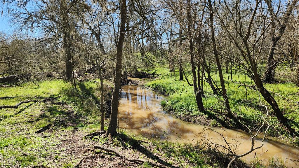 40499 Garrett Road, Brookshire, Texas image 8