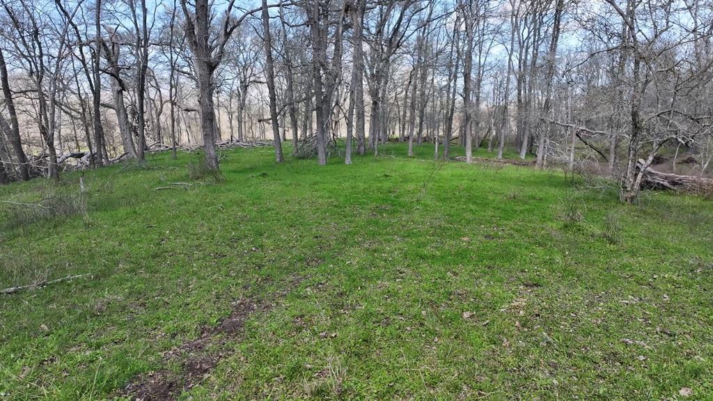 40499 Garrett Road, Brookshire, Texas image 29