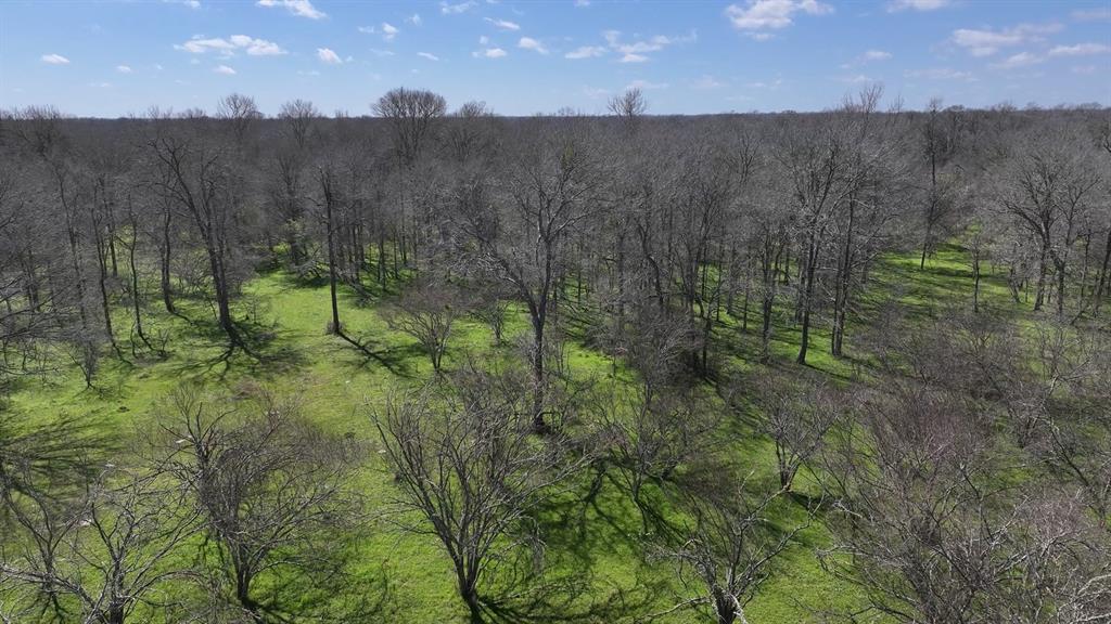 40499 Garrett Road, Brookshire, Texas image 21