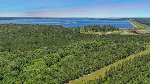 Photo of TBD Hickman Rd, Burkeville, TX 75932 (MLS # 28774595)