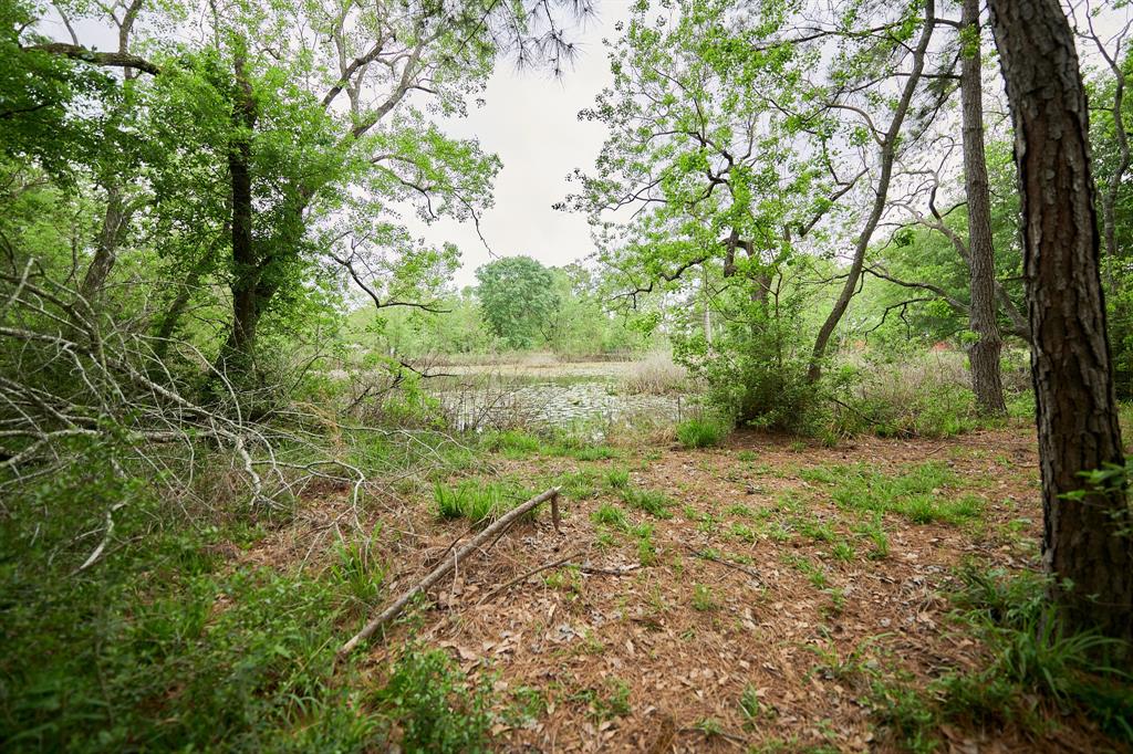 33319 Lago Vista Real, Magnolia, Texas image 41
