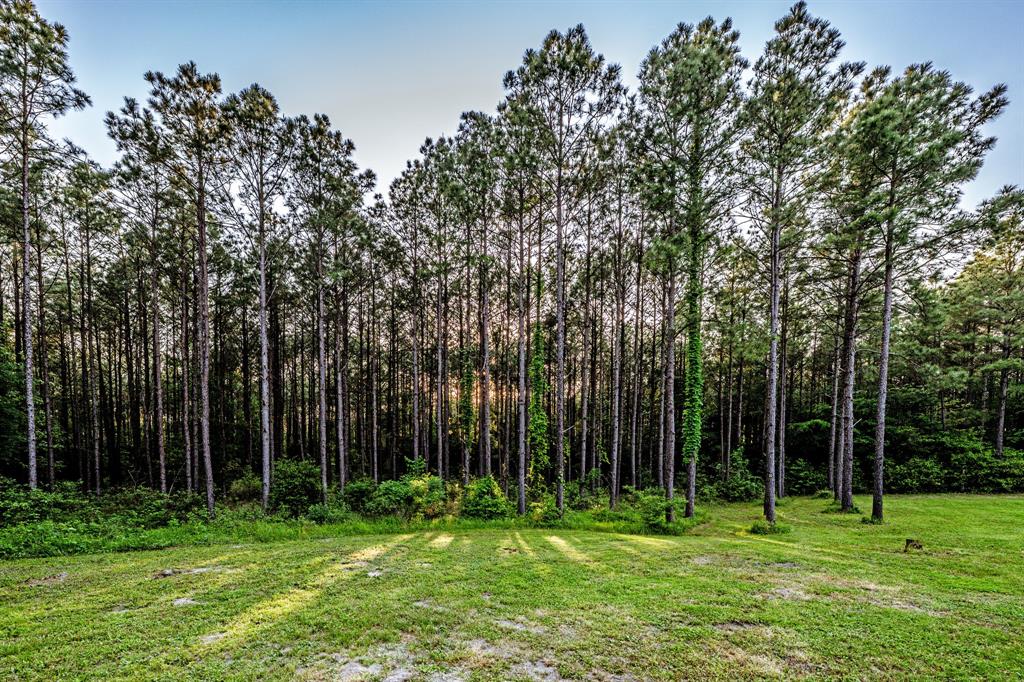 1515A Fm 247, Huntsville, Texas image 33