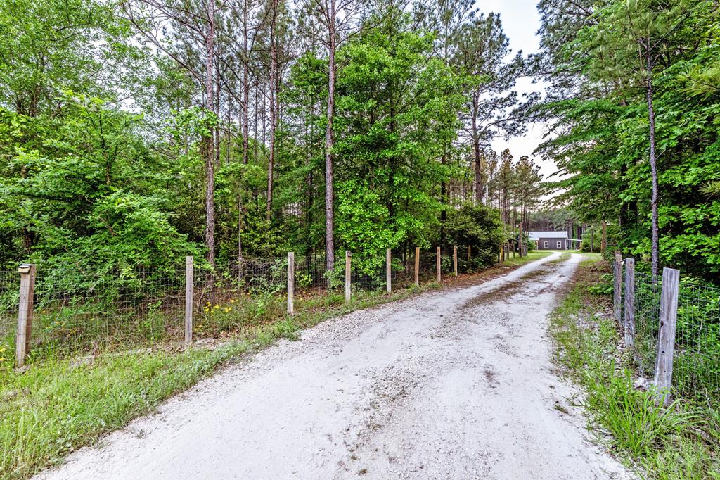 1515A Fm 247, Huntsville, Texas image 2